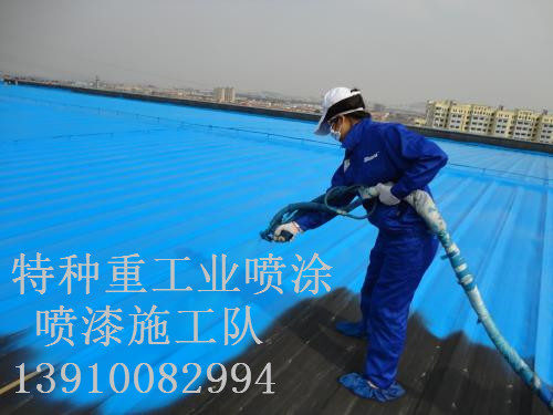 瑞丽包括彩钢瓦喷漆翻新（